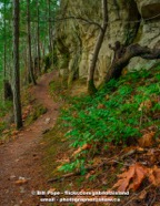 _DSC4990.jpg